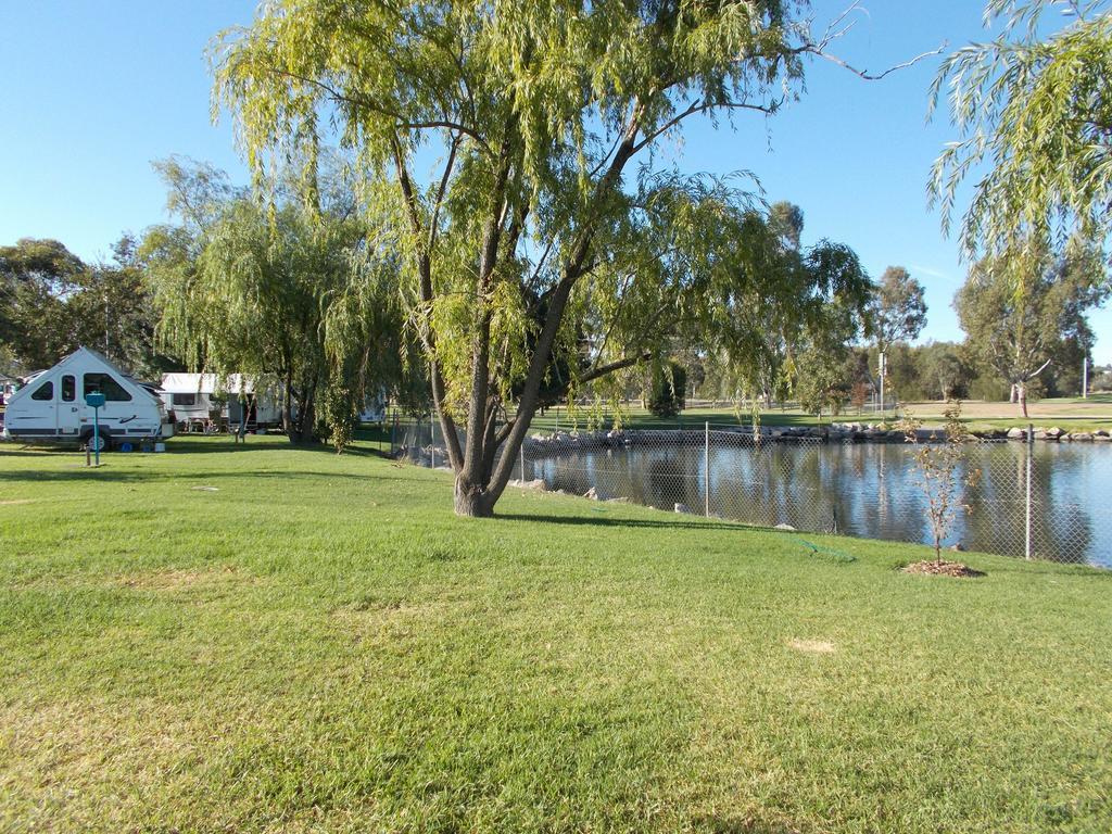 Junee Tourist Park Buitenkant foto